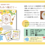 チラシはこちら