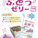 チラシはこちら